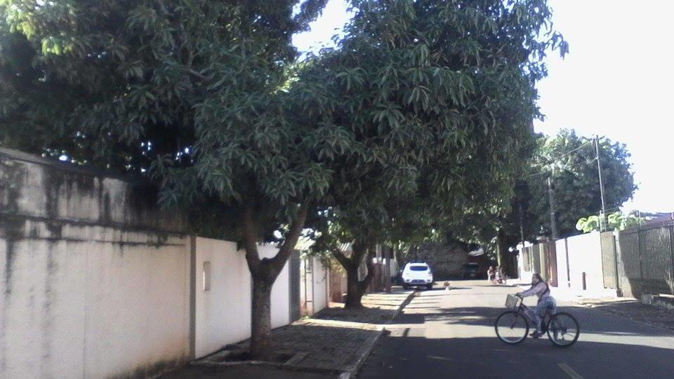 Aconchego Lar Cama E Cafe Bed & Breakfast Foz do Iguacu Exterior photo